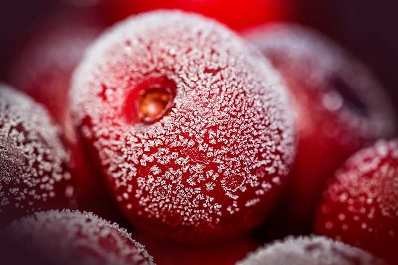 ¿Se pueden congelar las cerezas?